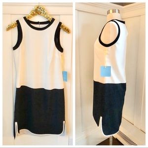 Cece Cynthia Steffe Color Block Sheath Dress